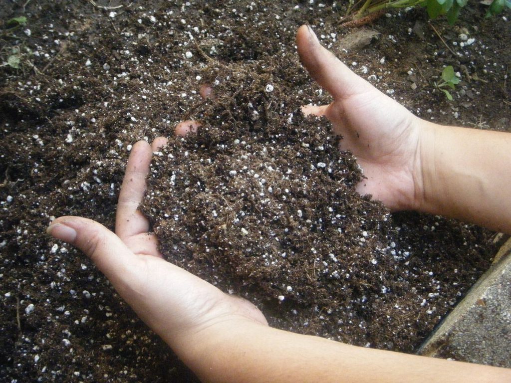 farmer's hands holding soil in a crop field