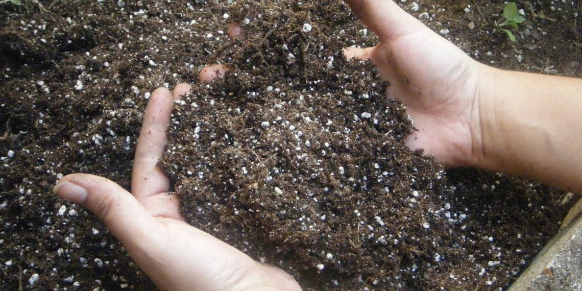 farmer's hands holding soil in a crop field
